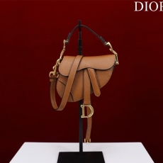 Dior Saddle Bags